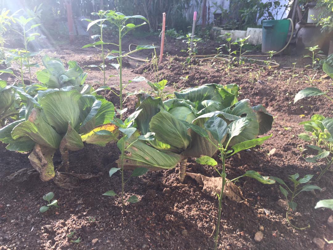 f597669c-b98f-4b65-b429-c1d9cada0593